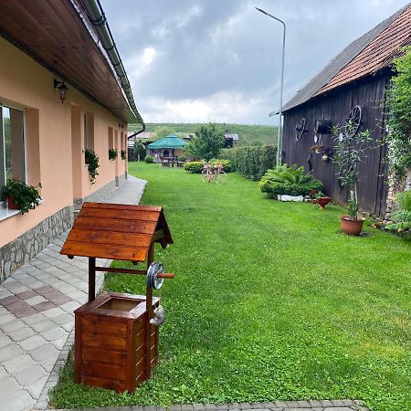 Pensiunea Denis Cîrţişoara Exterior foto