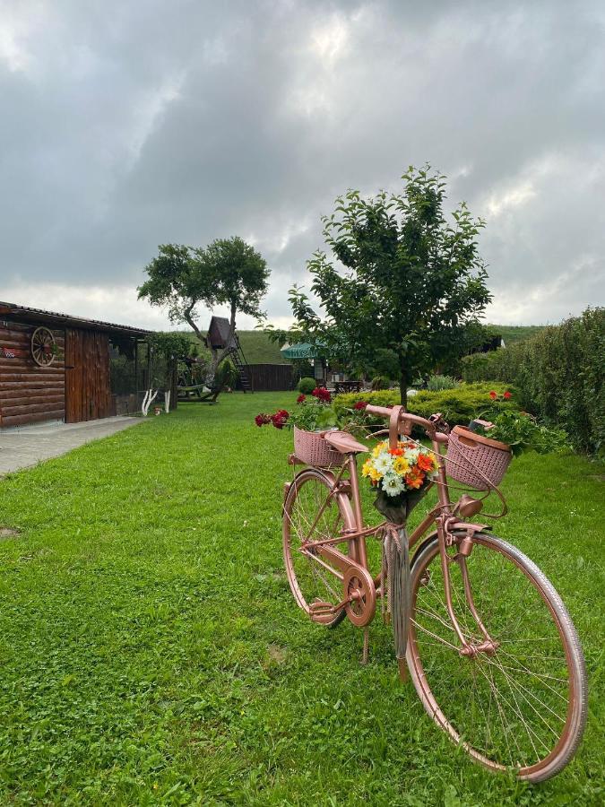 Pensiunea Denis Cîrţişoara Exterior foto