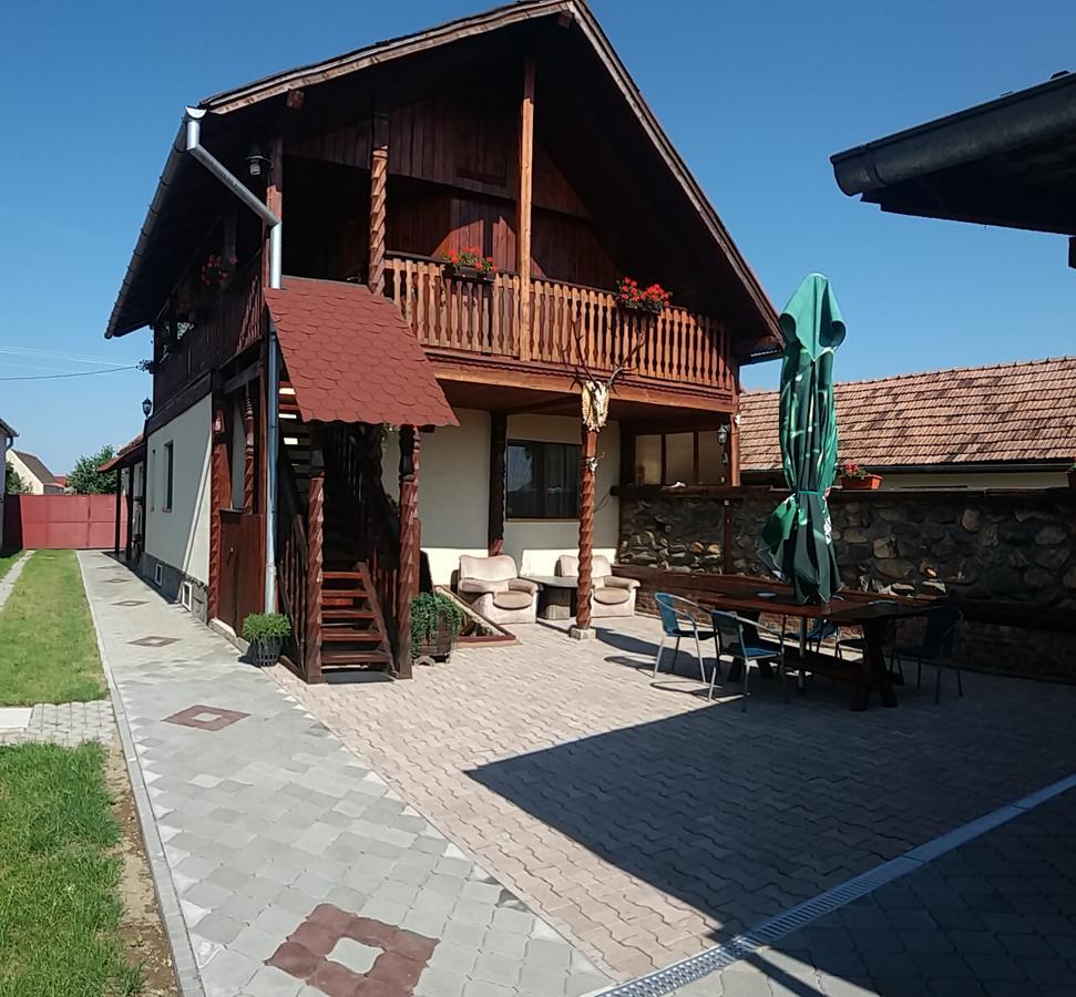 Pensiunea Denis Cîrţişoara Exterior foto