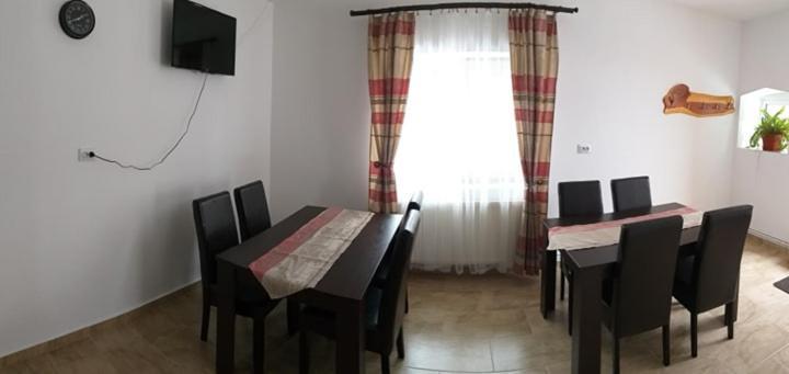 Pensiunea Denis Cîrţişoara Exterior foto